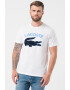 Lacoste Tricou de bumbac cu logo supradimensionat - Pled.ro