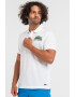 Lacoste Tricou polo cu imprimeu logo - Pled.ro