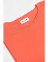 Lacoste Tricou regular fit din bumbac pima - Pled.ro