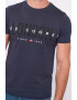 Lee Cooper Tricou cu imprimeu logo - Pled.ro