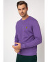 Lyle & Scott Bluza sport cu aplicatie logo discreta - Pled.ro