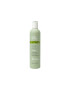 MILK SHAKE Sampon pentru detoxifiere Deep Detox Shampoo 300ml - Pled.ro