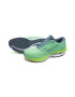 Mizuno Pantofi pentru alergare Wave Inspire 19 - Pled.ro