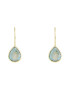 Moonstone Cercei drop decorati cu labradorit - Pled.ro