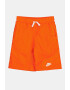 Nike Pantaloni scurti cu model colorblock Amplify - Pled.ro