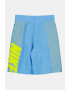 Nike Pantaloni scurti cu model colorblock Amplify - Pled.ro