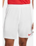 Nike Pantaloni scurti cu tehnologie Dri-FIT pentru fotbal Park III - Pled.ro