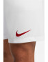 Nike Pantaloni scurti cu tehnologie Dri-FIT pentru fotbal Park III - Pled.ro