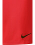 Nike Pantaloni scurti cu tehnologie Dri-FIT pentru fotbal Park III - Pled.ro