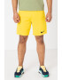 Nike Pantaloni scurti cu tehnologie Dri-FIT pentru fotbal Park III - Pled.ro