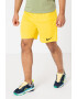 Nike Pantaloni scurti cu tehnologie Dri-FIT pentru fotbal Park III - Pled.ro