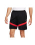 Nike Pantaloni Scurti Icon Dri-Fit DV9524-013 Barbati Negru - Pled.ro