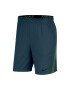 Nike Pantaloni scurti pentru fitness cu Dri-FIT - Pled.ro