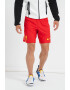 Nike Pantaloni scurti pentru fotbal Dri-Fit Liverpool F.C. - Pled.ro