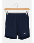 Nike Pantaloni scurti pentru tenis Court Flex - Pled.ro