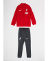 Nike Trening cu model pentru fotbal Liverpool F.C. Academy Pro - Pled.ro