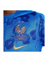 Nike Trening France FFF JR FJ7408-463 Baieti Albastru - Pled.ro