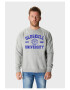 Oldskull Bluza de trening din bumbac cu imprimeu text - Pled.ro