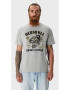 Oldskull Tricou cu imprimeu logo si grafic 173157 - Pled.ro