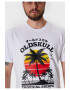 Oldskull Tricou de bumbac cu imprimeu - Pled.ro