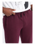 OMBRE Pantaloni lungi sport OM-PABS-0174 Barbati Joggers - Pled.ro