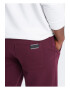 OMBRE Pantaloni lungi sport OM-PABS-0174 Barbati Joggers - Pled.ro