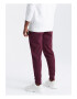 OMBRE Pantaloni lungi sport OM-PABS-0174 Barbati Joggers - Pled.ro