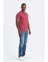 OMBRE Tricou cu model uni si decolteu henley - Pled.ro