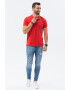 OMBRE Tricou polo din bumbac cu model pique - Pled.ro