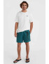 O'Neill Pantaloni scurti de baie cu imprimeu logo Original Cali 16'' - Pled.ro