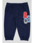 Original Marines Pantaloni de trening din bumbac cu imprimeu grafic - Pled.ro