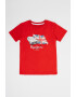 Pepe Jeans London Tricou cu imprimeu logo si grafic Troy - Pled.ro