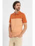 Pierre Cardin Tricou polo colorblock din bumbac - Pled.ro