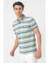 Pierre Cardin Tricou polo cu model in dungi - Pled.ro