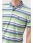 Pierre Cardin Tricou polo cu model in dungi - Pled.ro