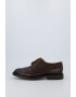 Polo Ralph Lauren Pantofi brogue de piele Asher - Pled.ro