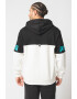 Puma Hanorac colorblock de bumbac cu fleece pe interior Power - Pled.ro