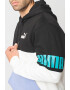 Puma Hanorac colorblock de bumbac cu fleece pe interior Power - Pled.ro