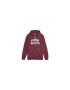 Puma Hanorac Team Hoodie Fl 62520622 - Pled.ro