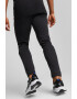 Puma Pantaloni sport slim fit Evostripe Core - Pled.ro