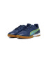 Puma Pantofi pentru fotbal King Match IT Indoor - Pled.ro