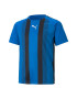 Puma Tricou cu maneci raglan pentru fotbal teamLIGA - Pled.ro