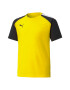 Puma Tricou cu model colorblock pentru fotbal teamPACER - Pled.ro