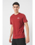 Puma Tricou din bumbac Essentials+ - Pled.ro