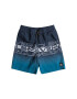 QUIKSILVER Bermude de baie Wordblock - Pled.ro