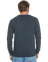 QUIKSILVER Bluza de bumbac cu decolteu la baza gatului Circled Script - Pled.ro