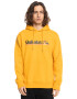 QUIKSILVER Hanorac cu imprimeu logo All Lined Up - Pled.ro