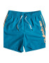 QUIKSILVER Pantaloni scurti de baie cu imprimeu logo Vert - Pled.ro