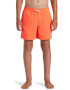 QUIKSILVER Pantaloni scurti de baie cu snur in talie Everyday - Pled.ro