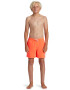 QUIKSILVER Pantaloni scurti de baie cu snur in talie Everyday - Pled.ro